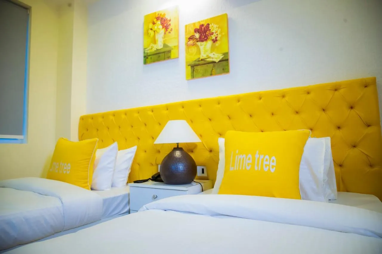 Luxury Studio Service Apartment Lime Tree -Near Artemis Hospital, Gurgaon Sector - 51